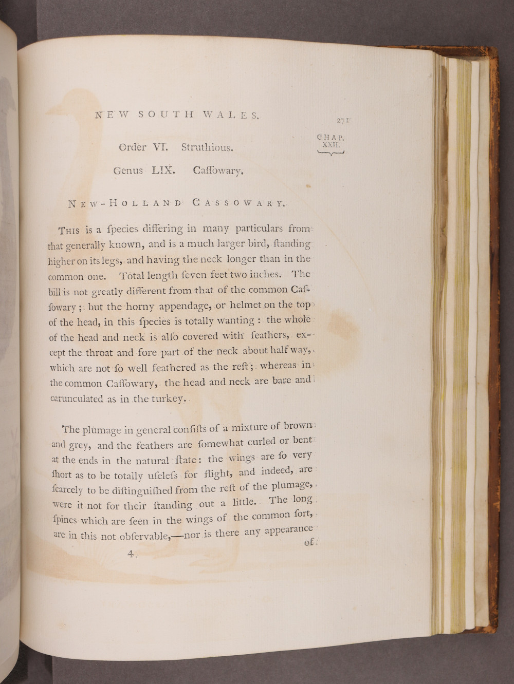 Page 271